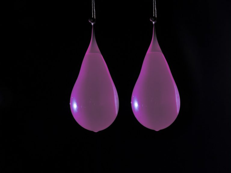 Children Can Regrow Amputated Fingertips! Small Acorn