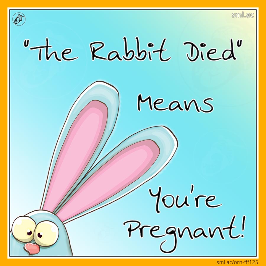 "The Rabbit Died" Means You're Pregnant! Small Acorn