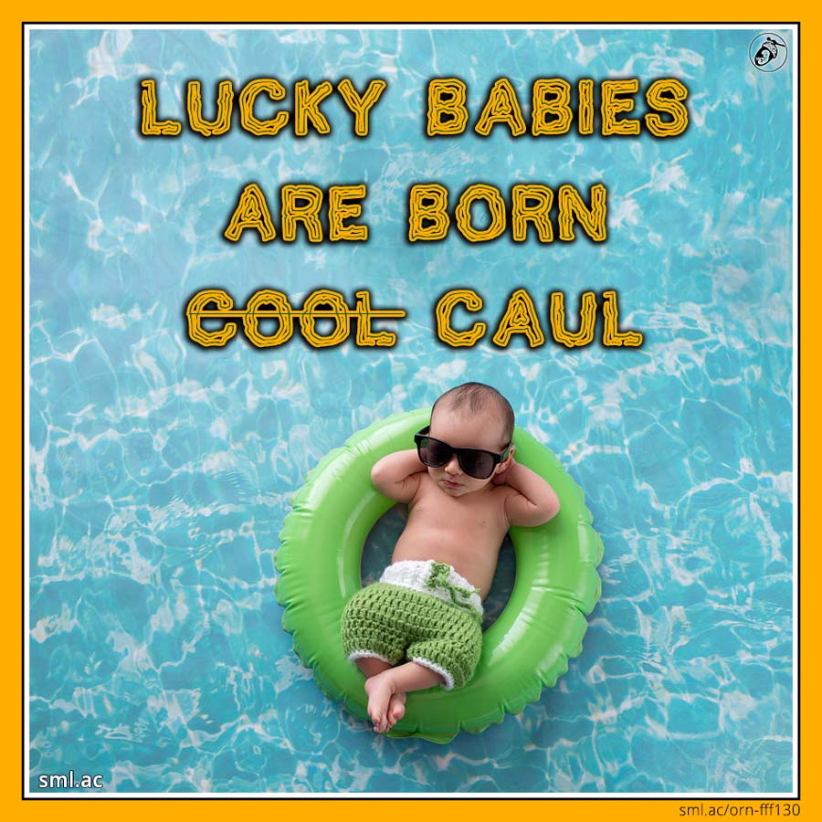 Luck Caul Lucky Babies Are Born Caul! | Small Acorn