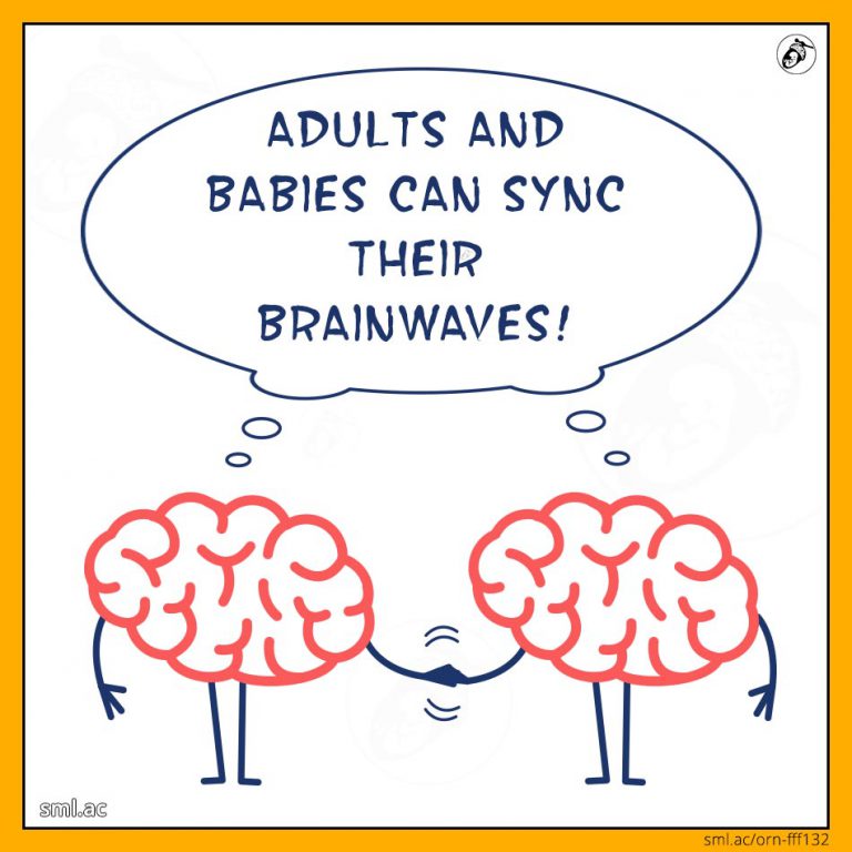 Children Can Regrow Amputated Fingertips! Small Acorn