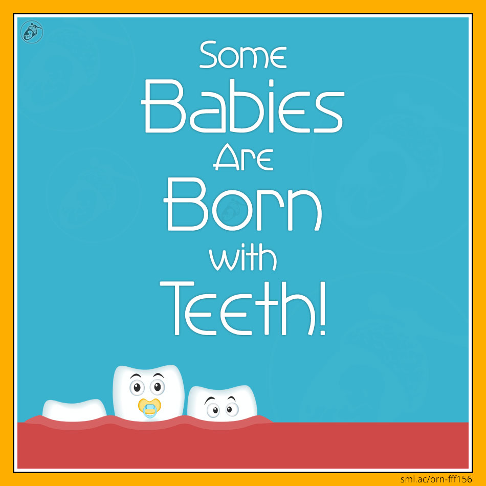 Some Babies Are Born with Teeth! Small Acorn